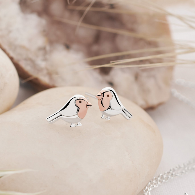 Winter Robin Studs