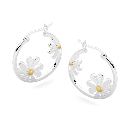 Daisy Dreamers Hoops