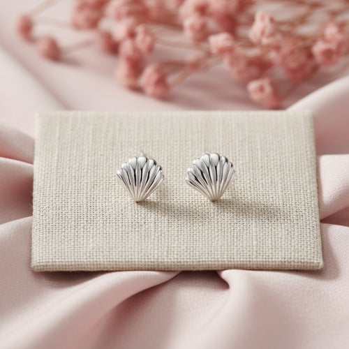 Seashell Studs