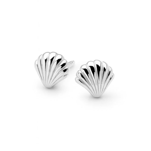 Seashell Studs