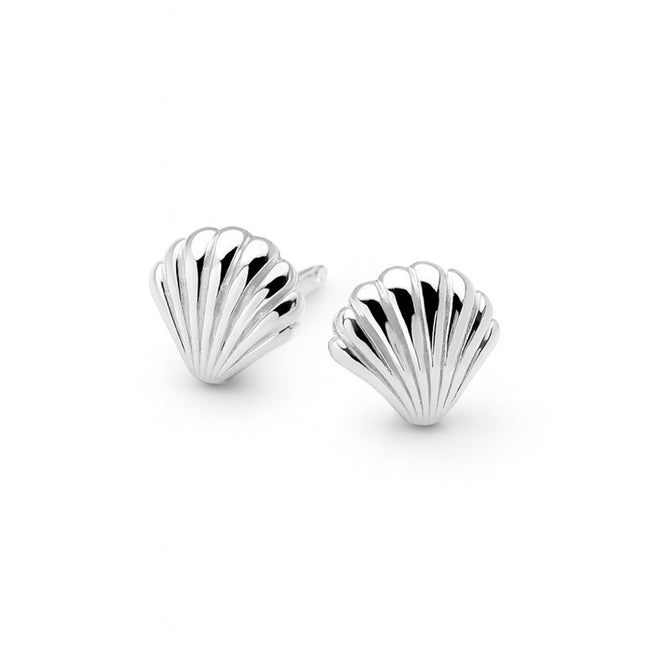 Seashell Studs