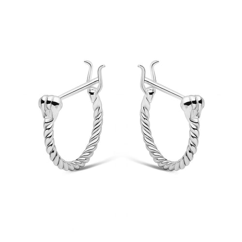 Mini Twist Hoops