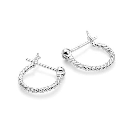 Mini Twist Hoops