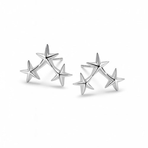 Silver Constellation Studs
