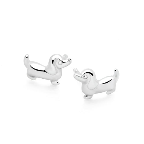 Sweet Dachshund Studs
