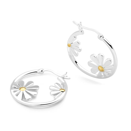 Daisy Dreamers Hoops